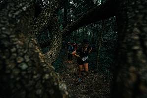 BIB: 
                            <button type="button" onclick="openModal(25688648)" class="btn btn-primary btn-sm float-right btn-popup" data-toggle="modal" data-target=".modal-high-quality">
                        <i class="fas fa-shopping-cart"></i> Add to Cart
                    </button>
                                            <button type="button" onclick="isThisMe(25688648, true)" class="btn btn-success btn-sm float-right btn-popup btn-isme hidden" data-toggle="tooltip" data-placement="bottom" title="นี่คือรูปของคุณใช่ไหม คลิกที่นี่เพื่อเอาเข้าอัลบั้ม">
                        <i class="fas fa-plus"></i> Add to album
                    </button>
                    <button type="button" onclick="isThisMe(25688648, false)" class="btn btn-warning btn-sm float-right btn-popup btn-isnotme hidden">
                        <i class="fas fa-ban"></i> Remove from album
                    </button>